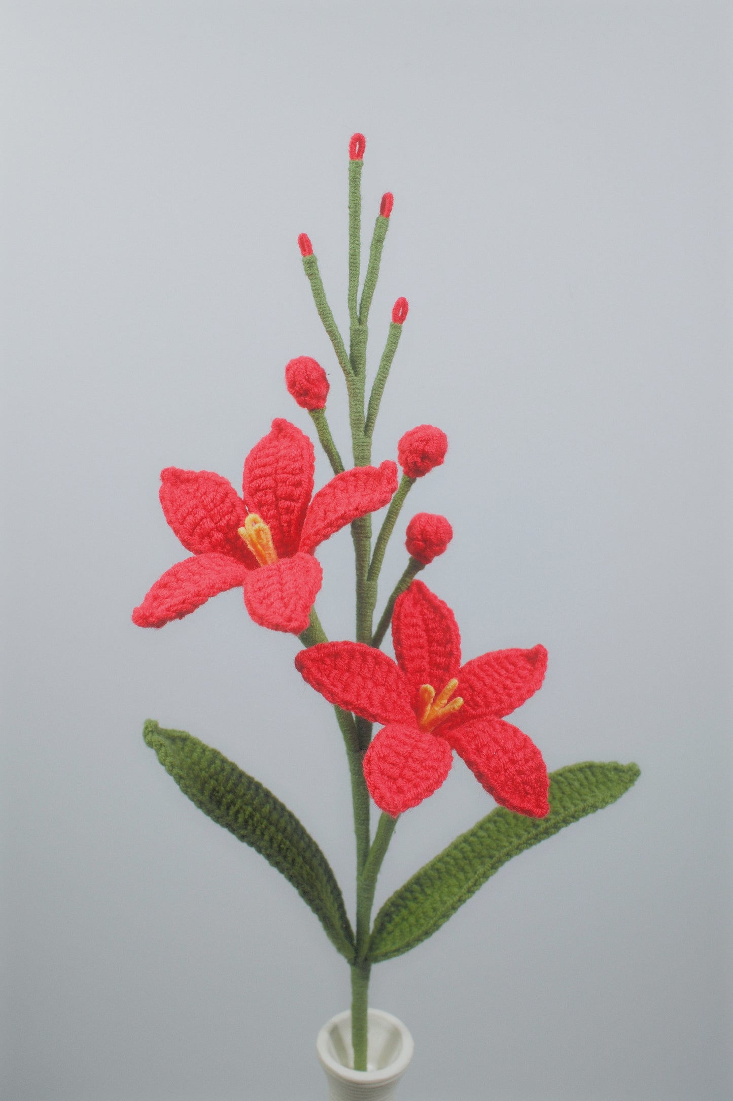 Renanthera