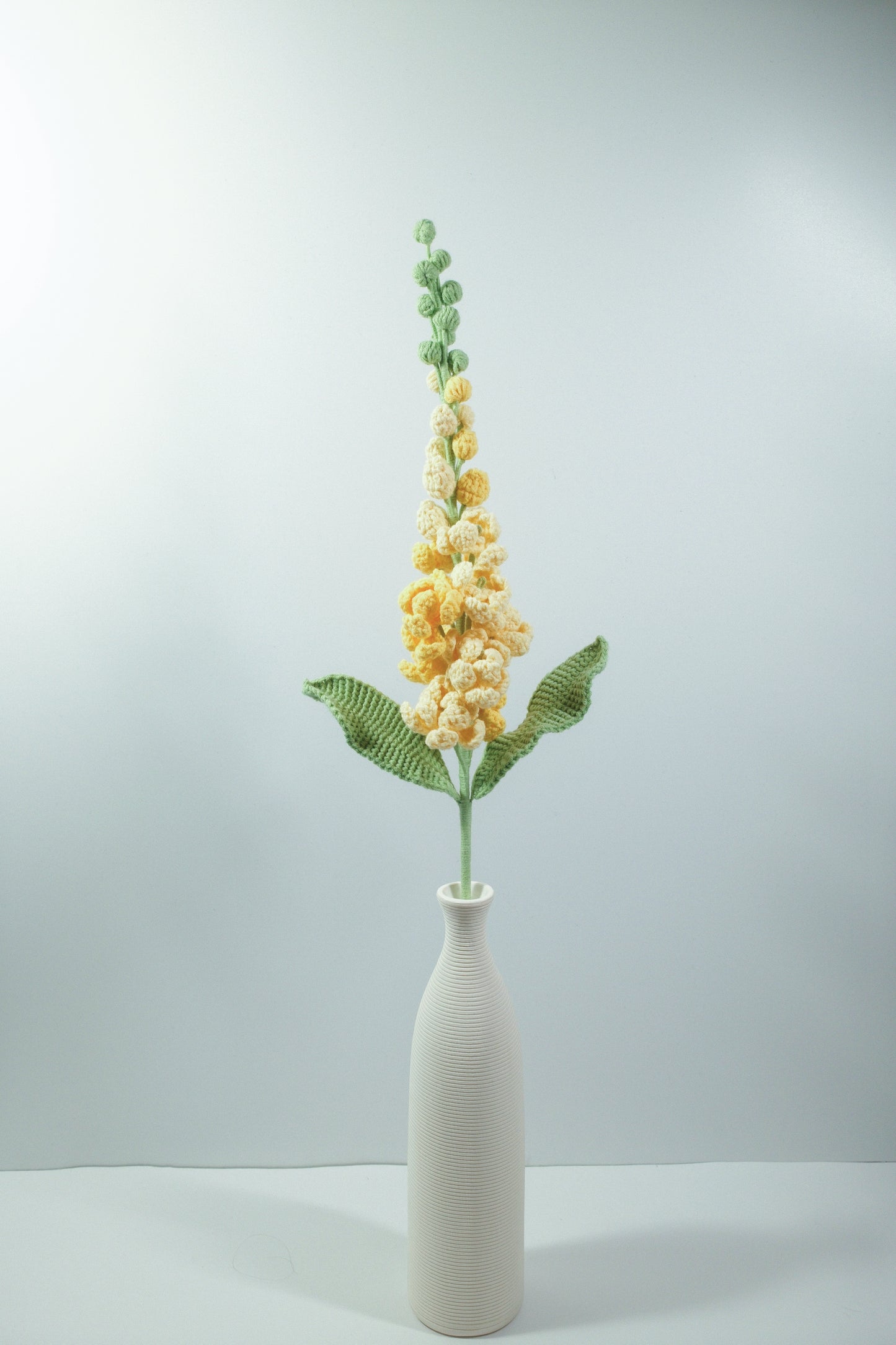 Delphinium Grandiflorum