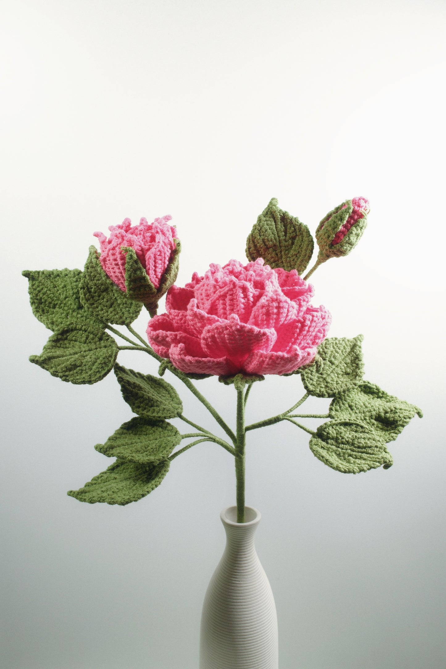Peony Anthemy