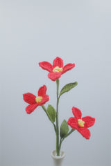 Kousa Dogwood
