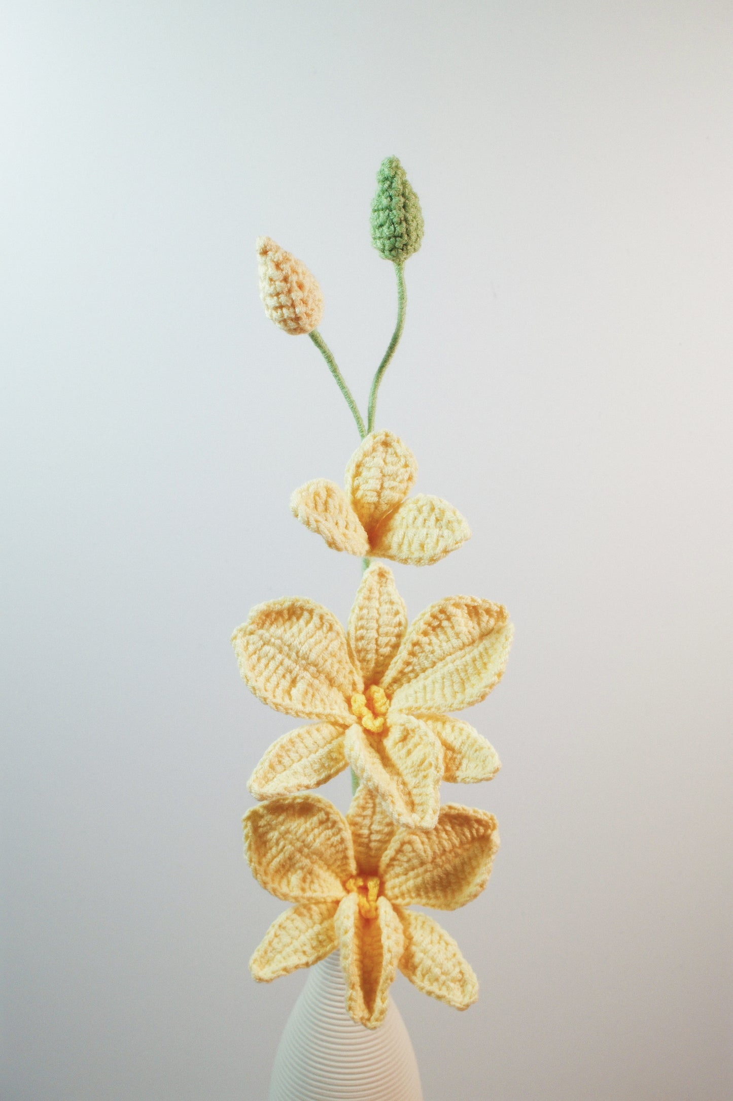Dendrobium
