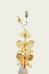 Dendrobium Orchid