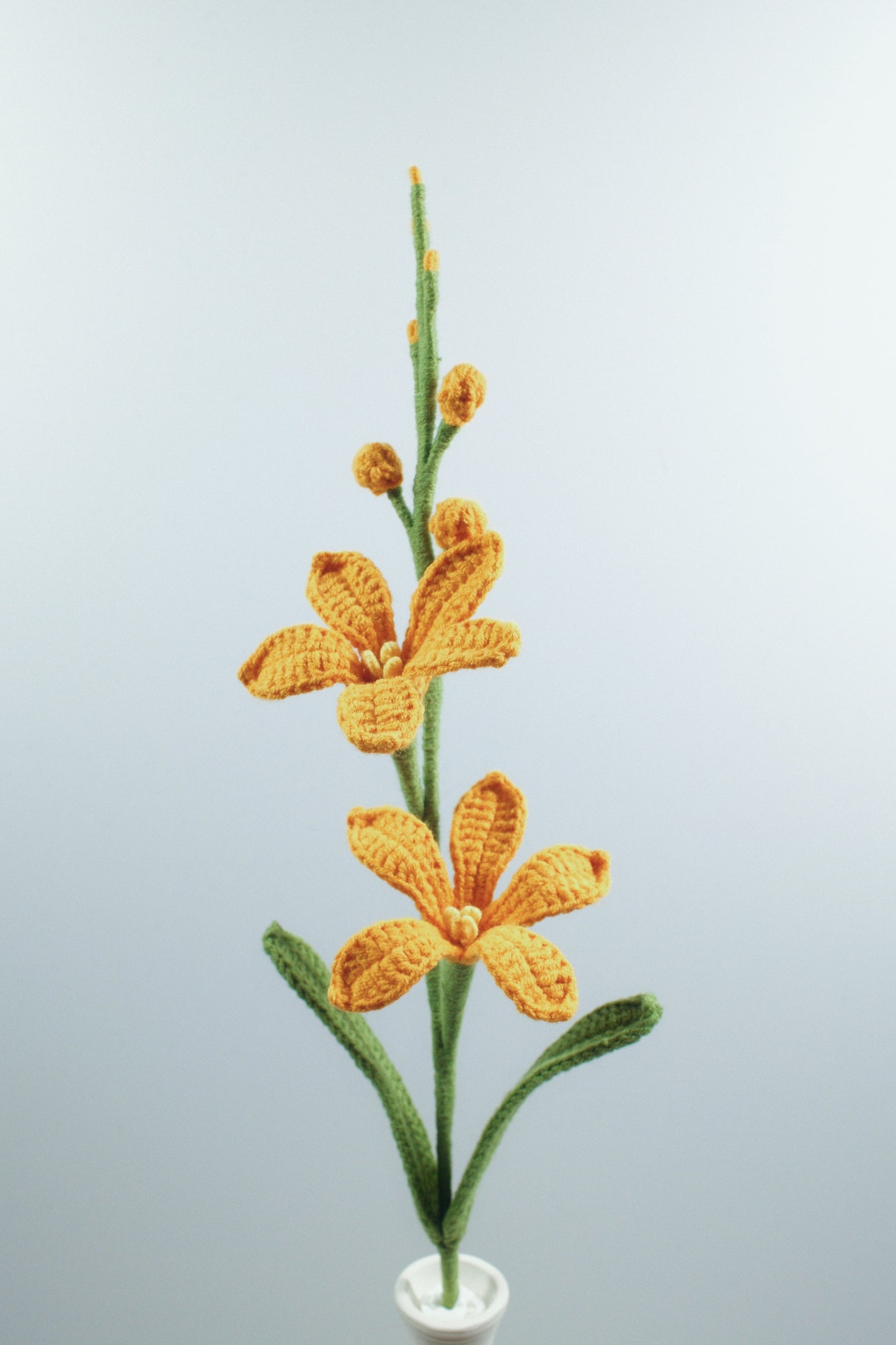 Renanthera