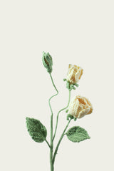 Small Gardenia