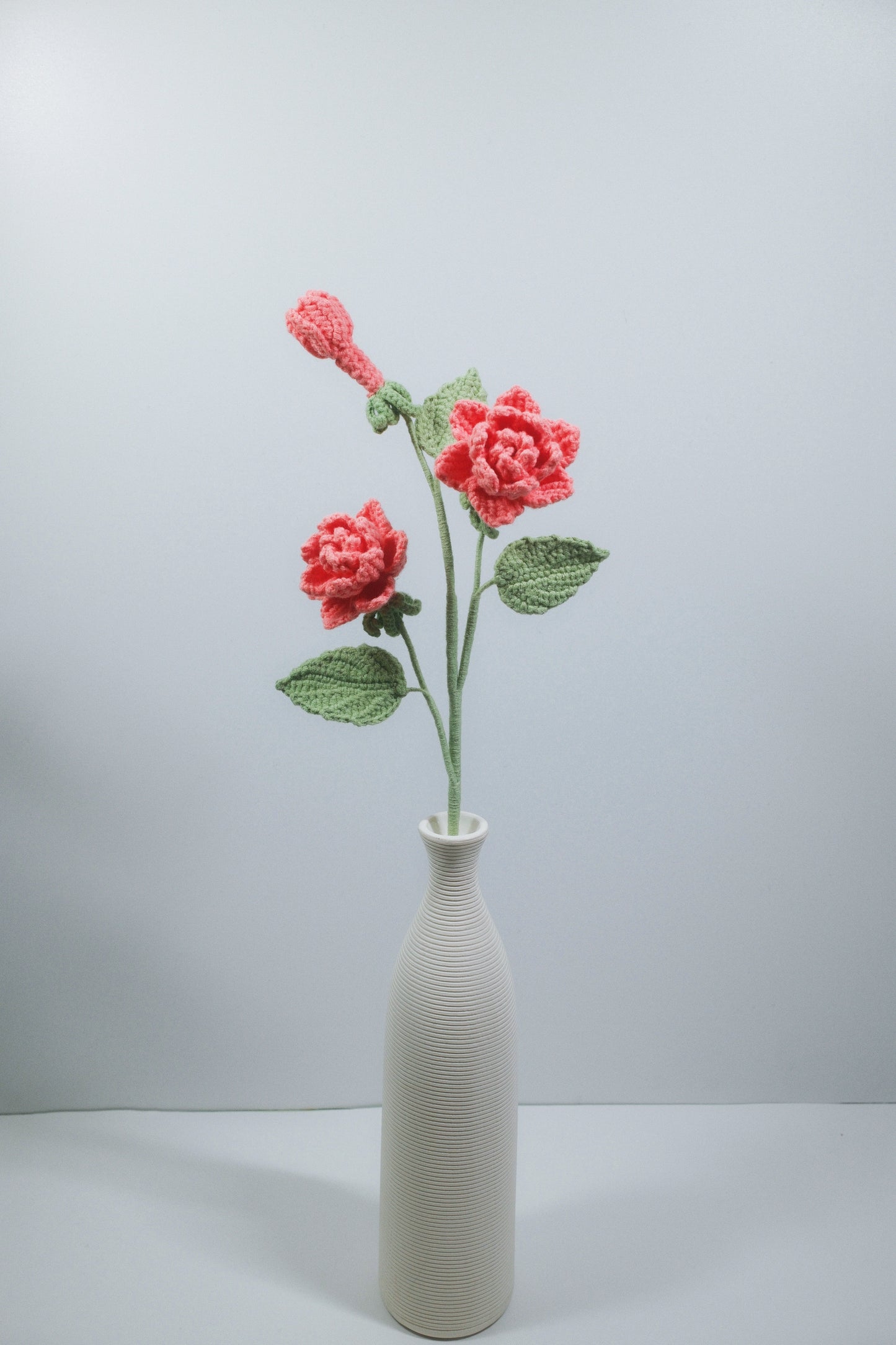 Gardenia