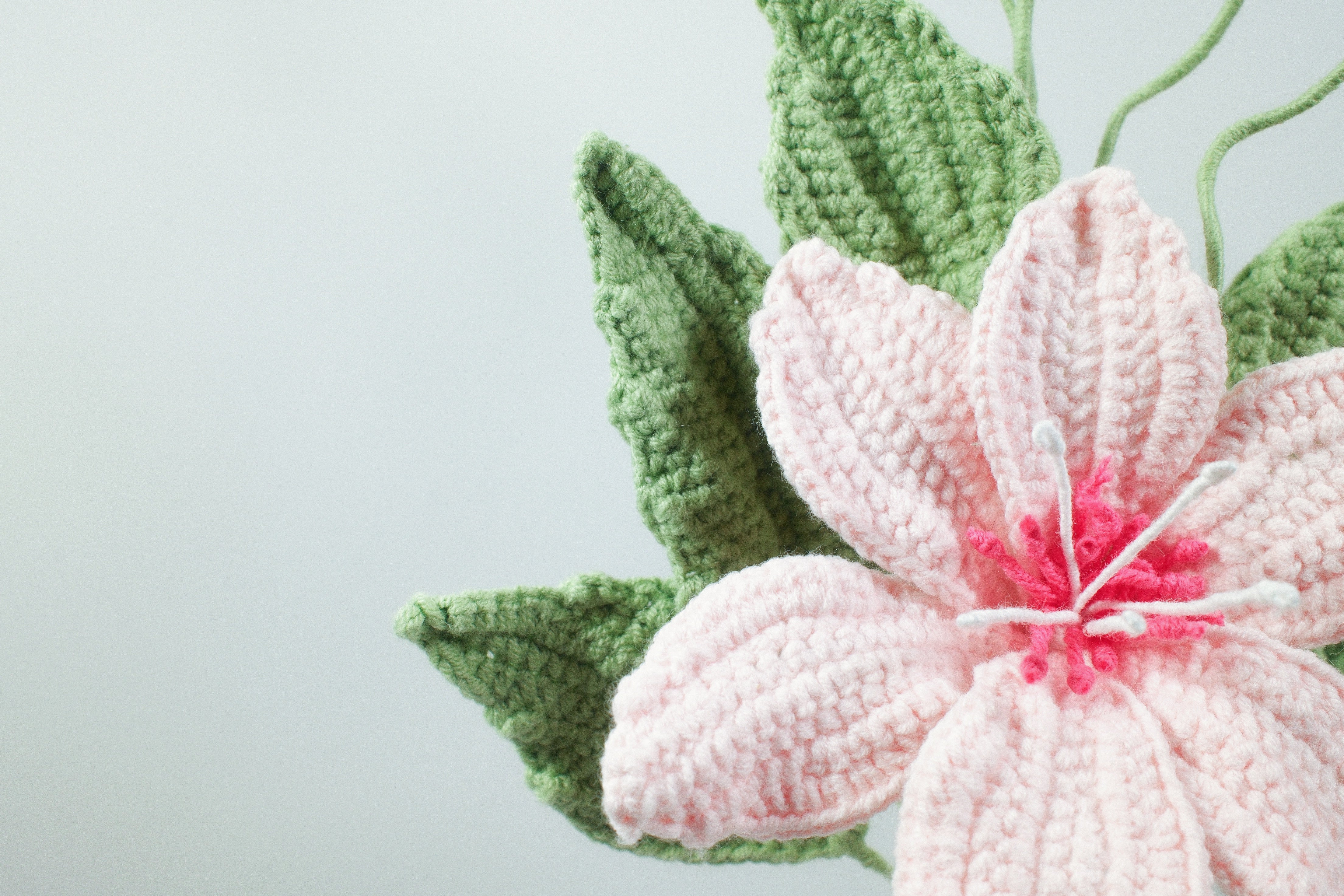 Whitewood Flower