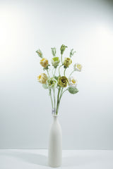 Small Gardenia