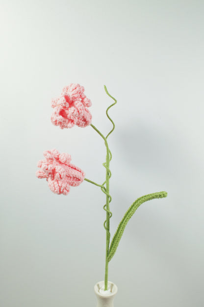 Peruvian Daffodil