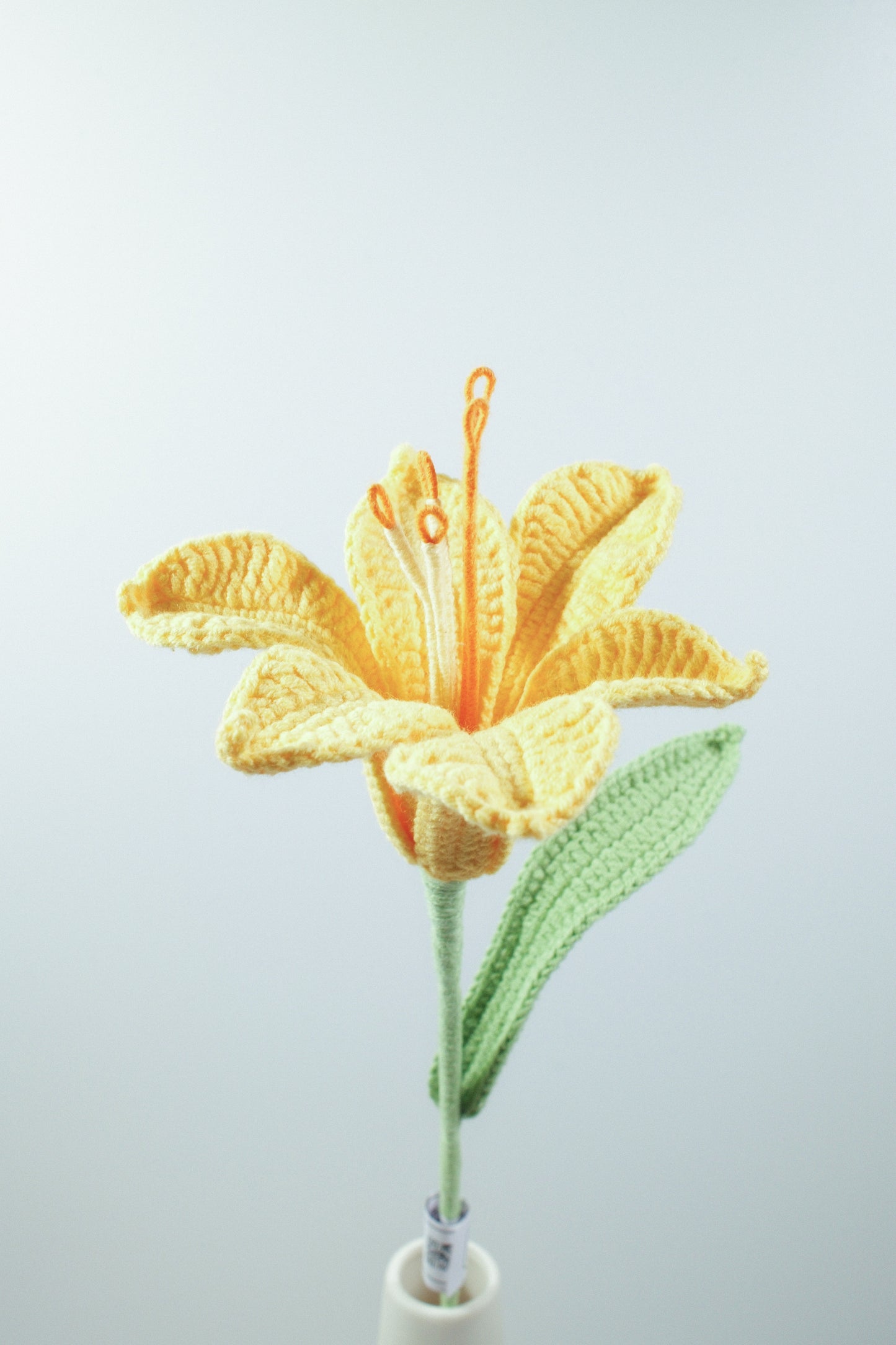 Alstroemeria Hybrida
