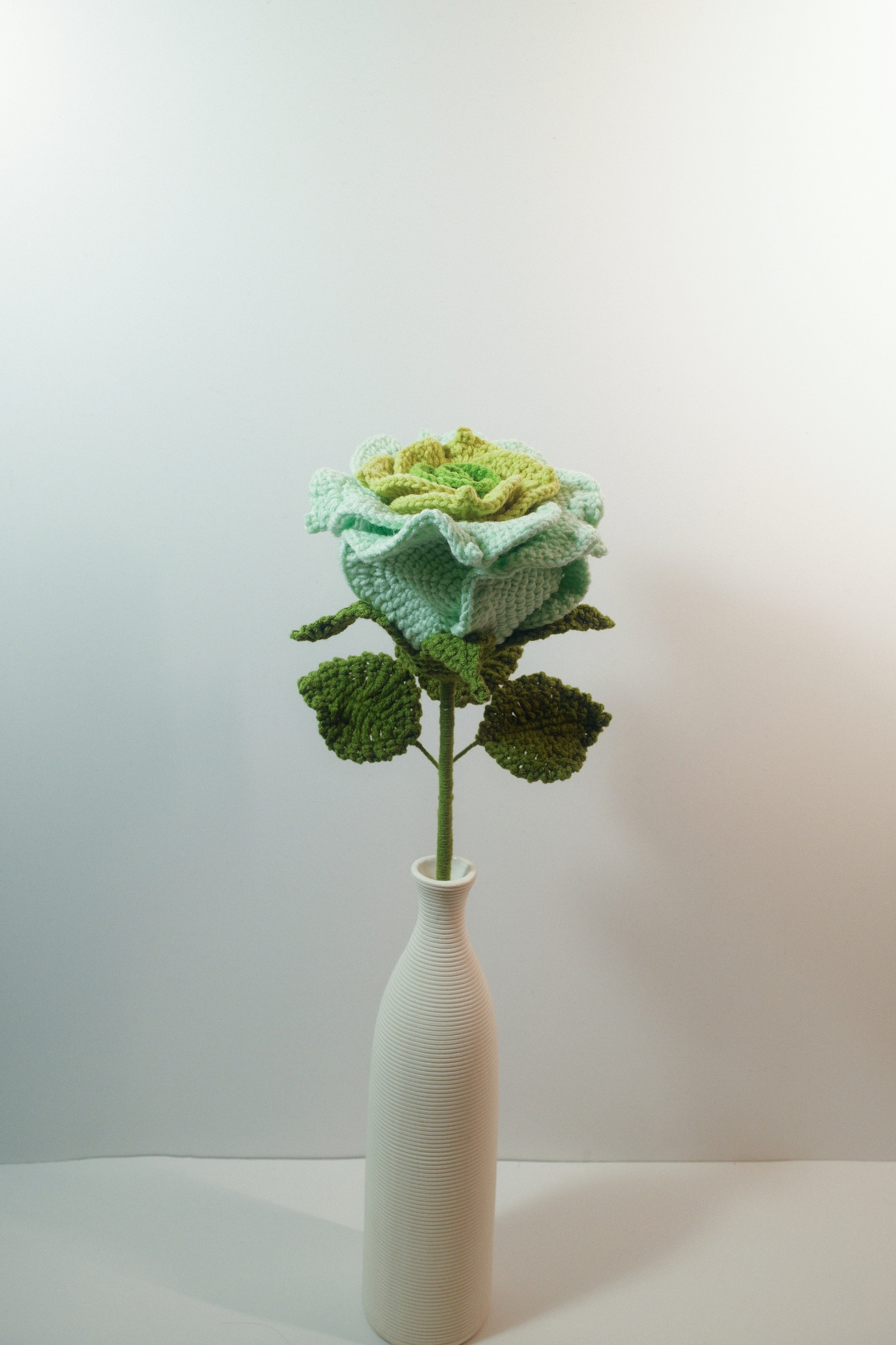Thailand Rose