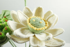 Lotus | Set of four