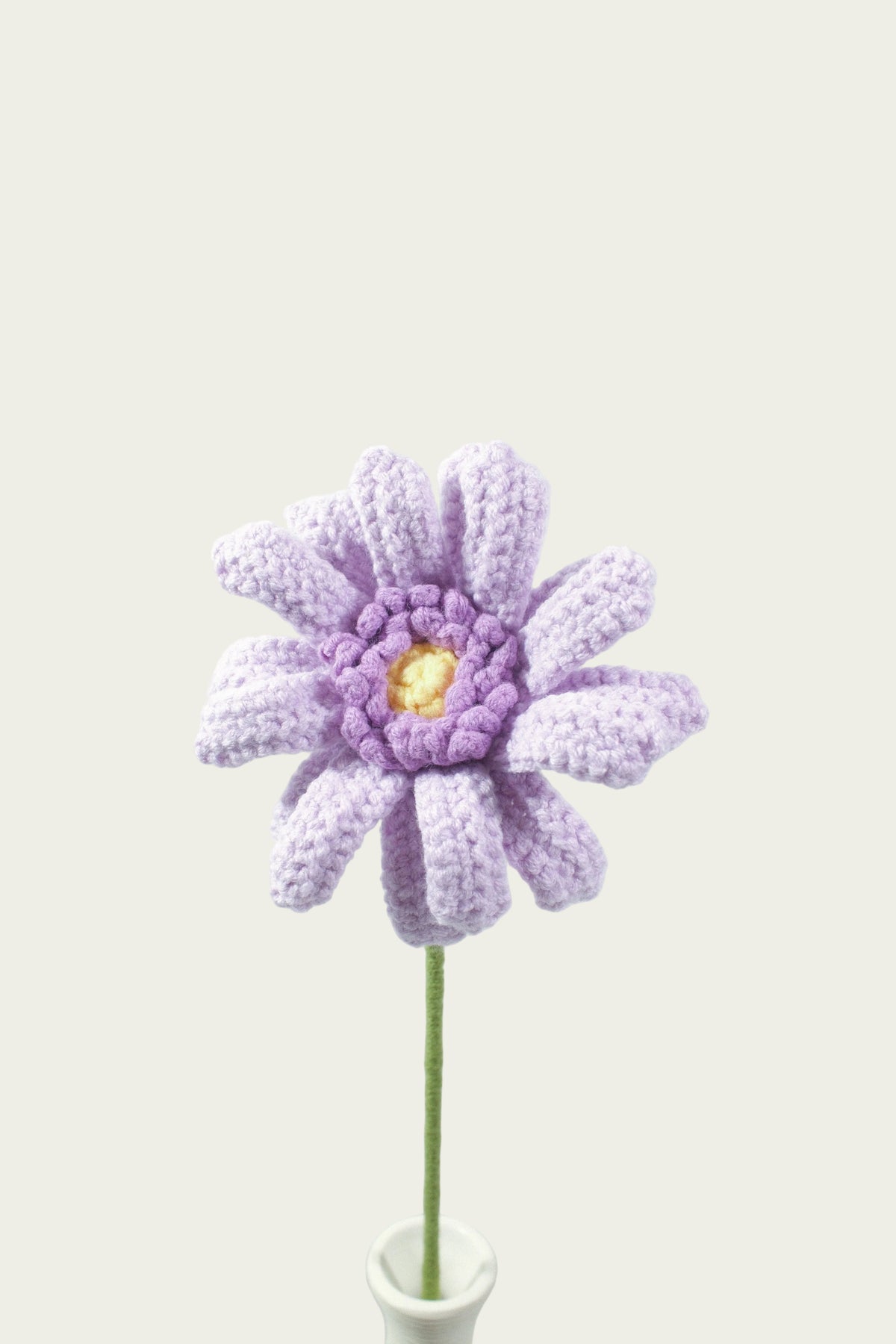 Gerbera Daisy
