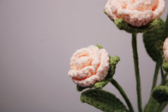 Bubble Rose