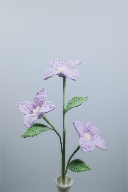 Torenia