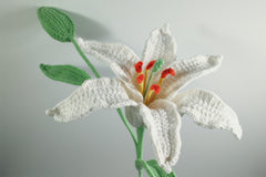 Lily