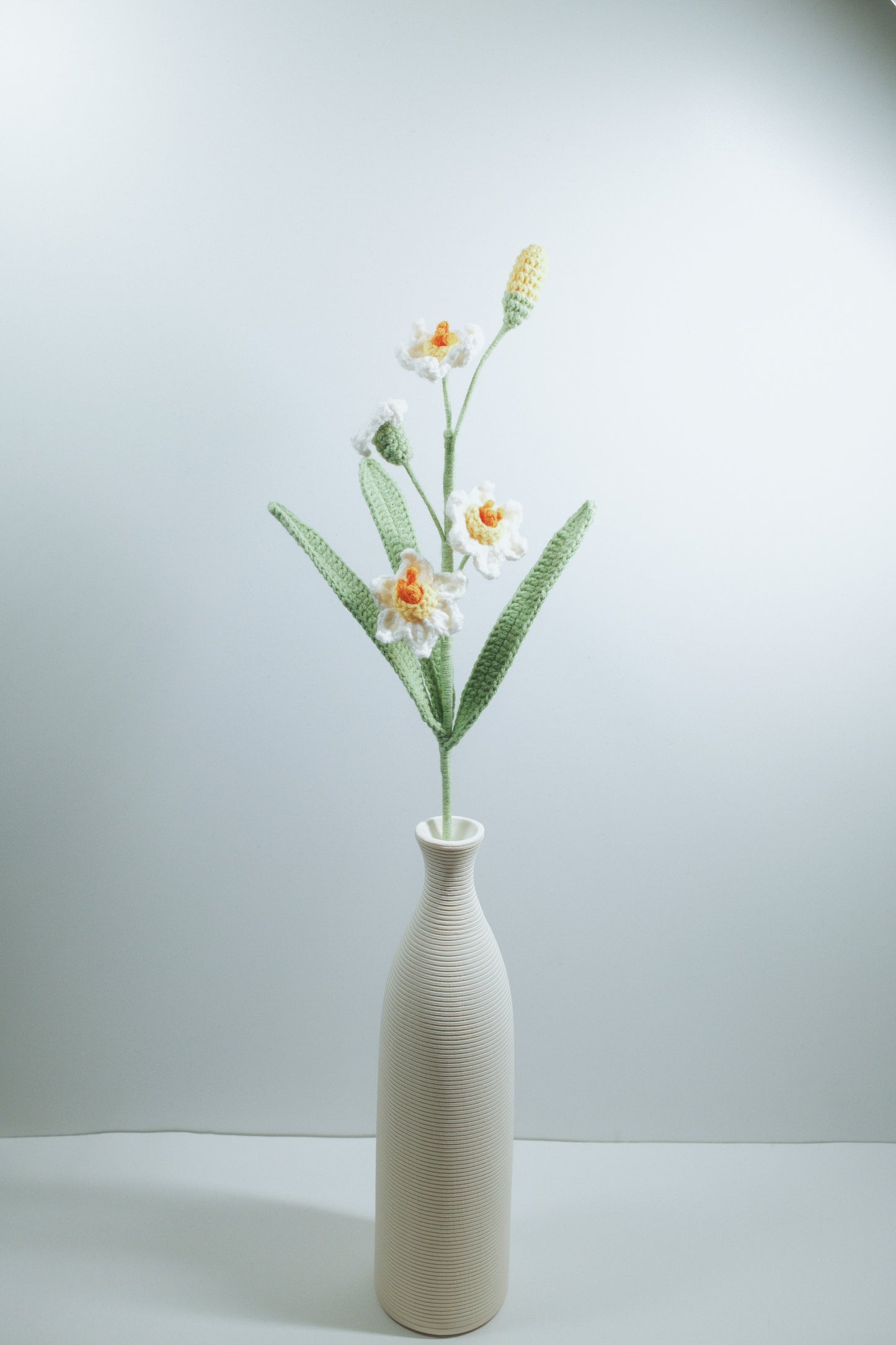 Daffodil
