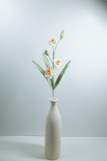 Daffodil