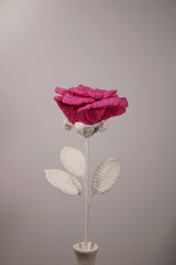Rouge Rose | Unique Color