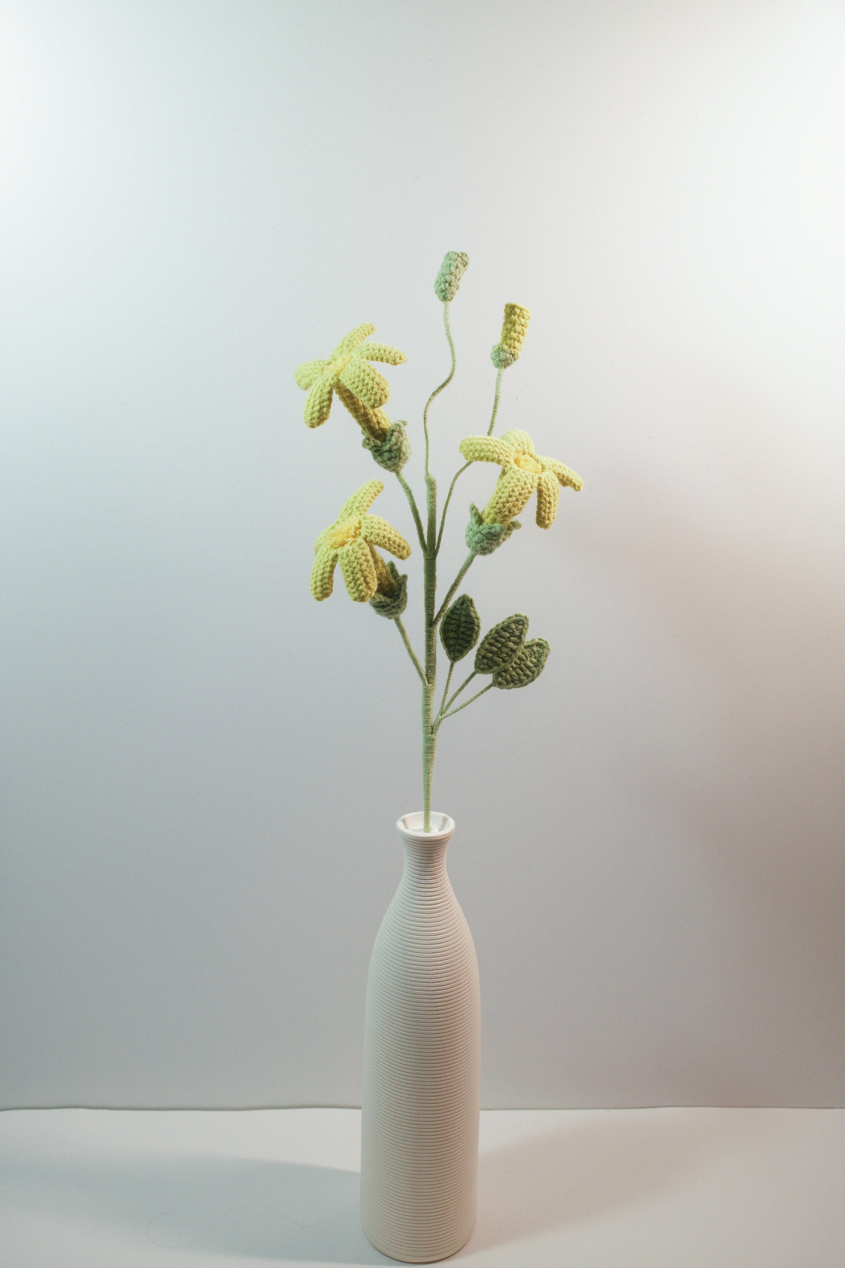 Trumpet Vine