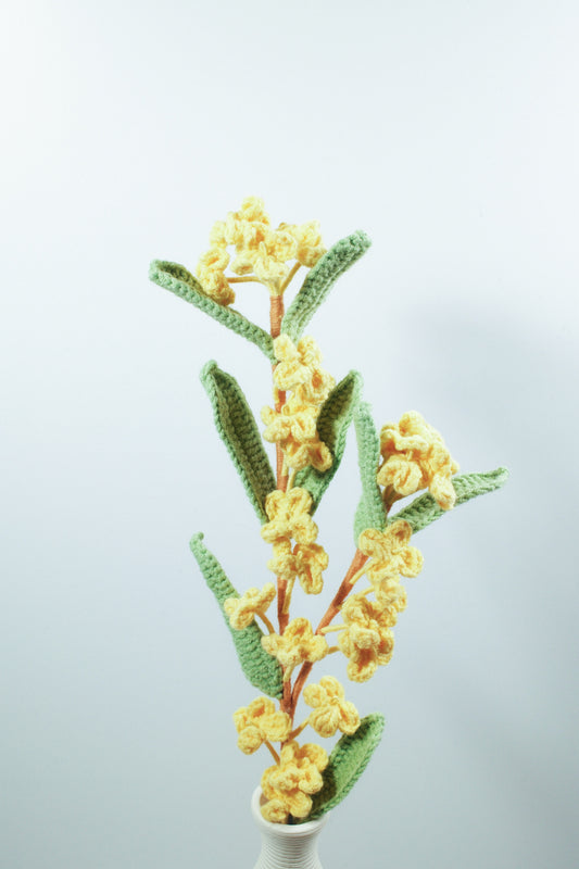 Winter Jasmine