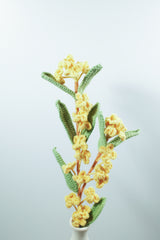 Winter Jasmine