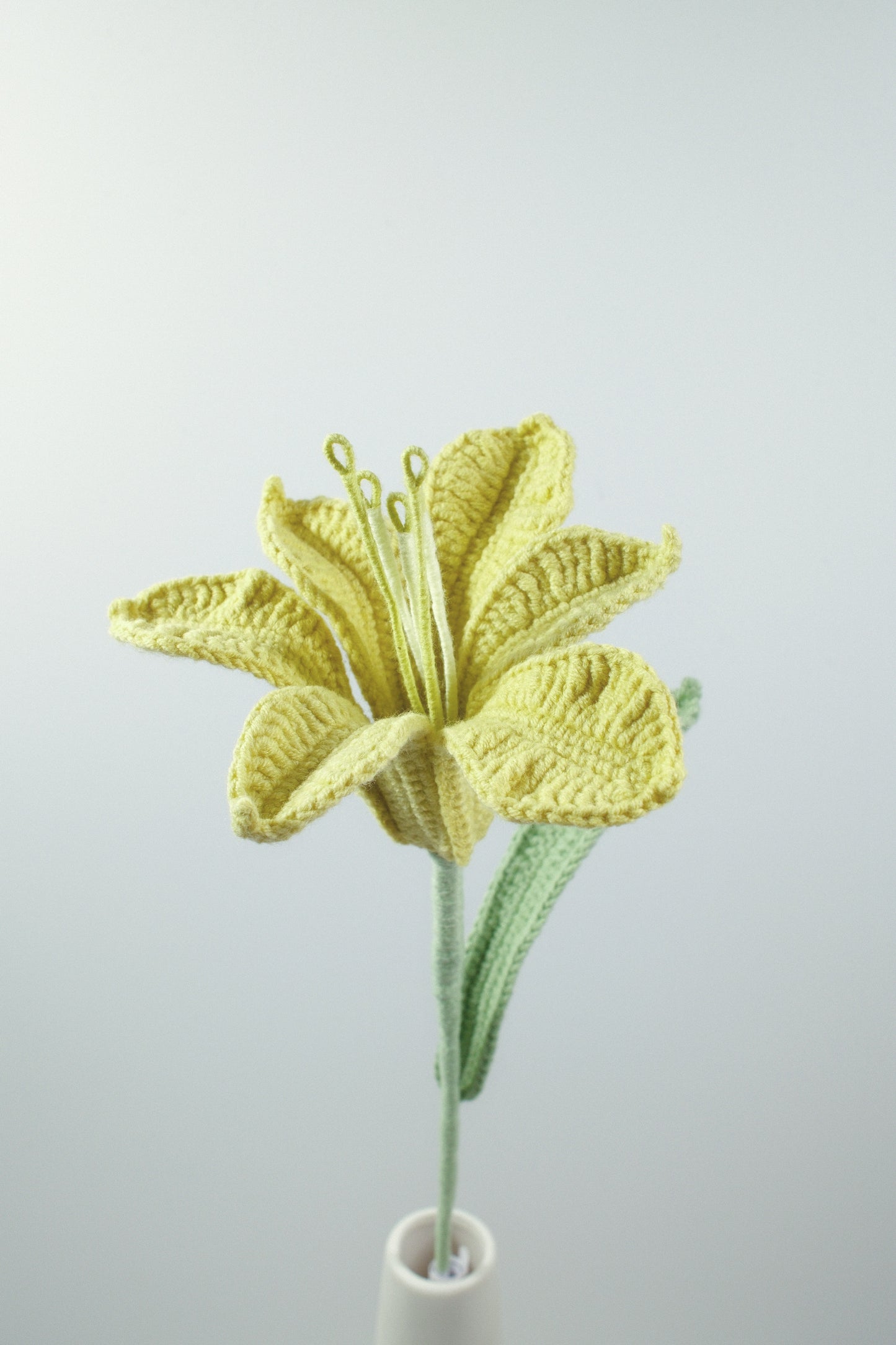 Alstroemeria Hybrida