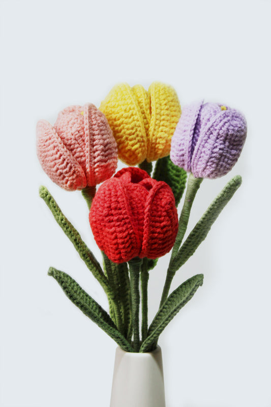 Tulip | Rainbow-colored Flower