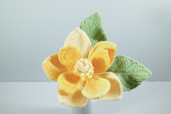 Magnolia