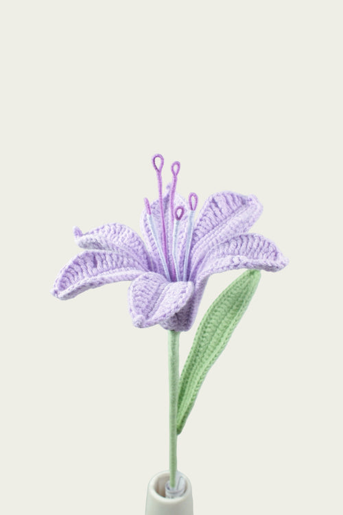 Peruvian Lily