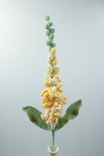 Delphinium Grandiflorum