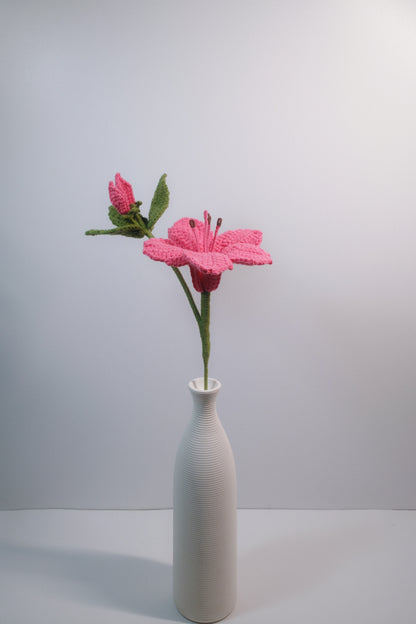 Azalea