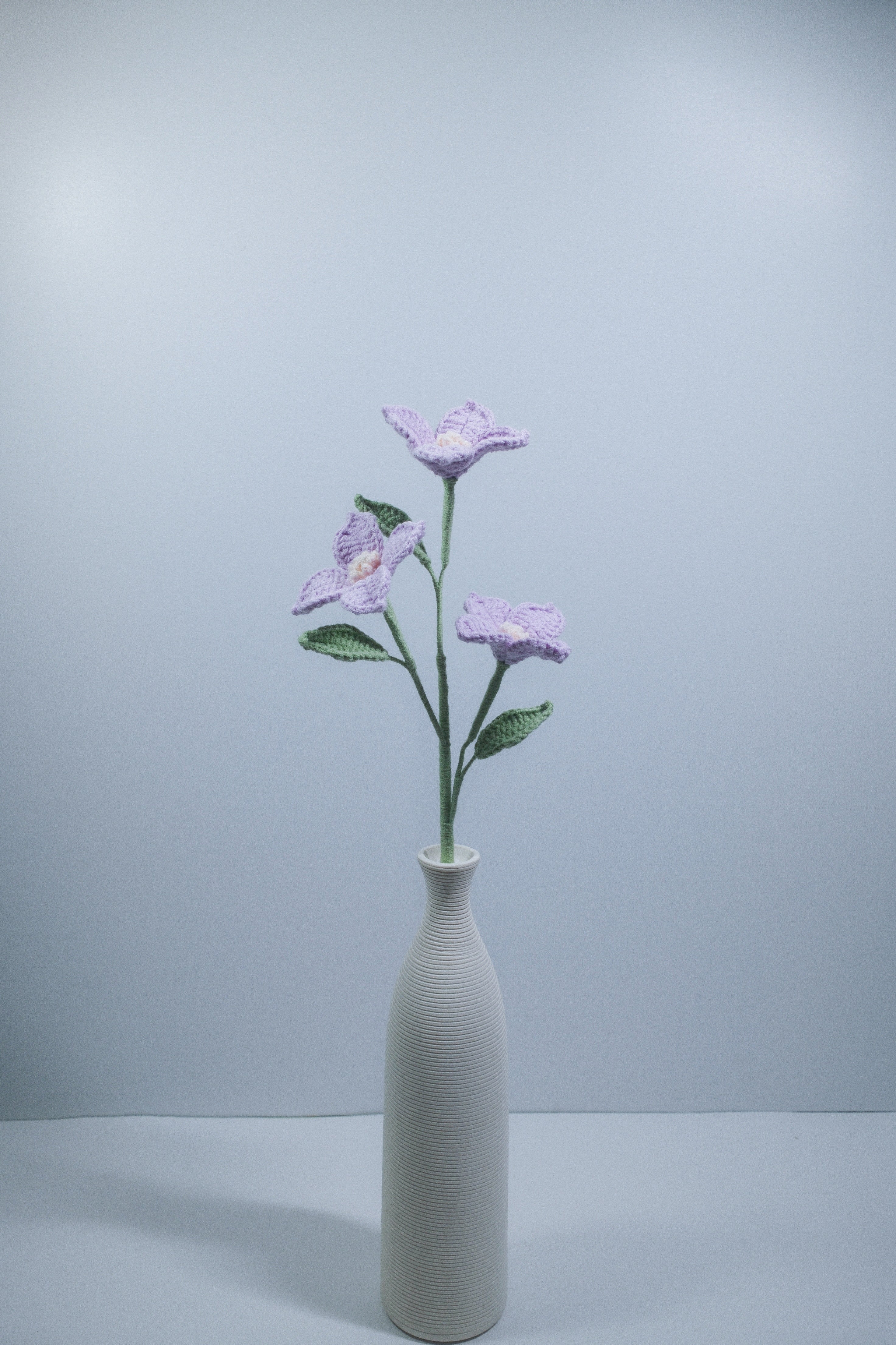 Torenia