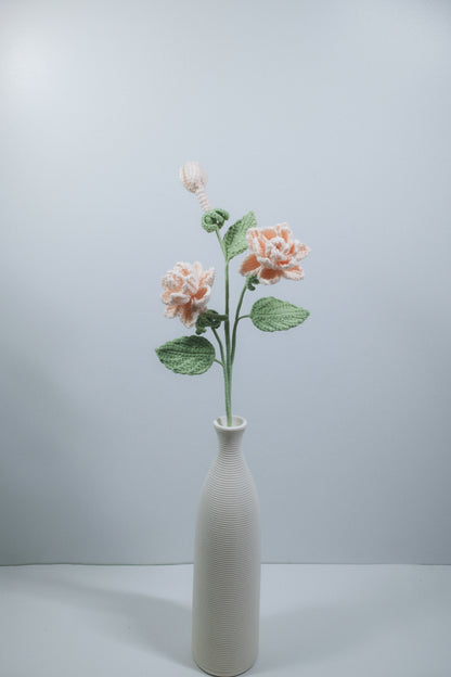 Gardenia