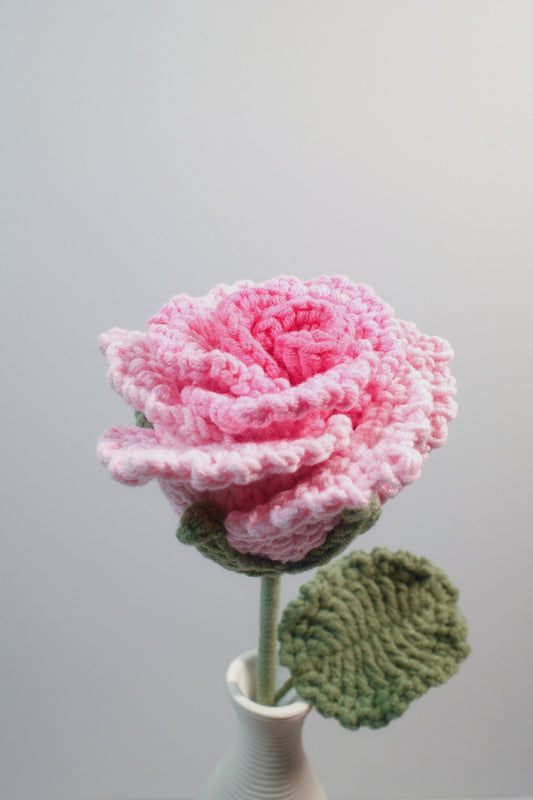 Roselle