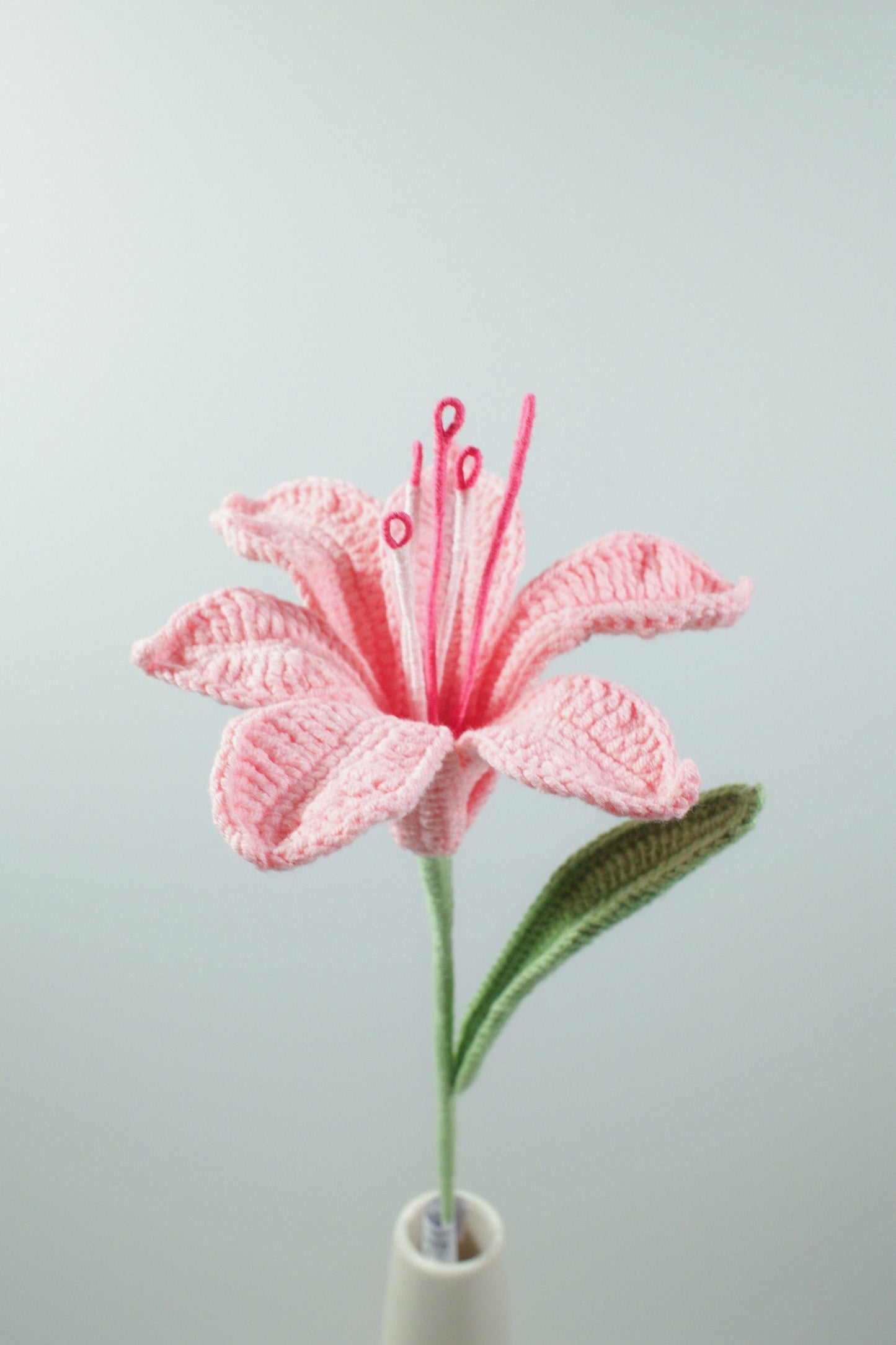 Alstroemeria Hybrida
