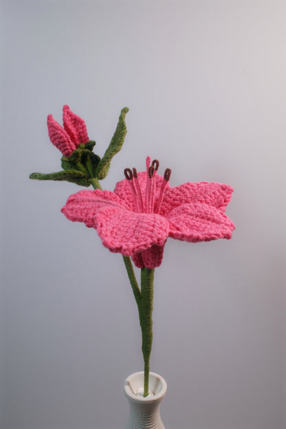 Azalea