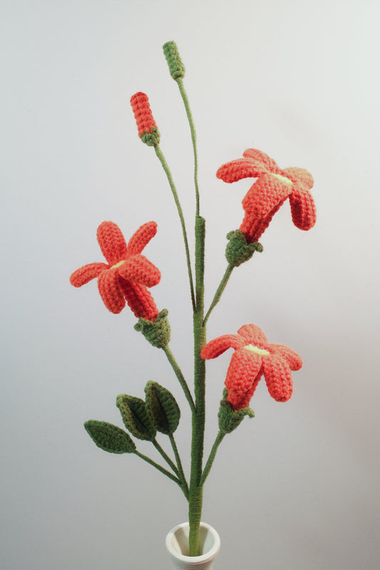 Trumpet Vine