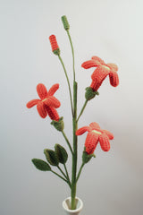 Trumpet Vine