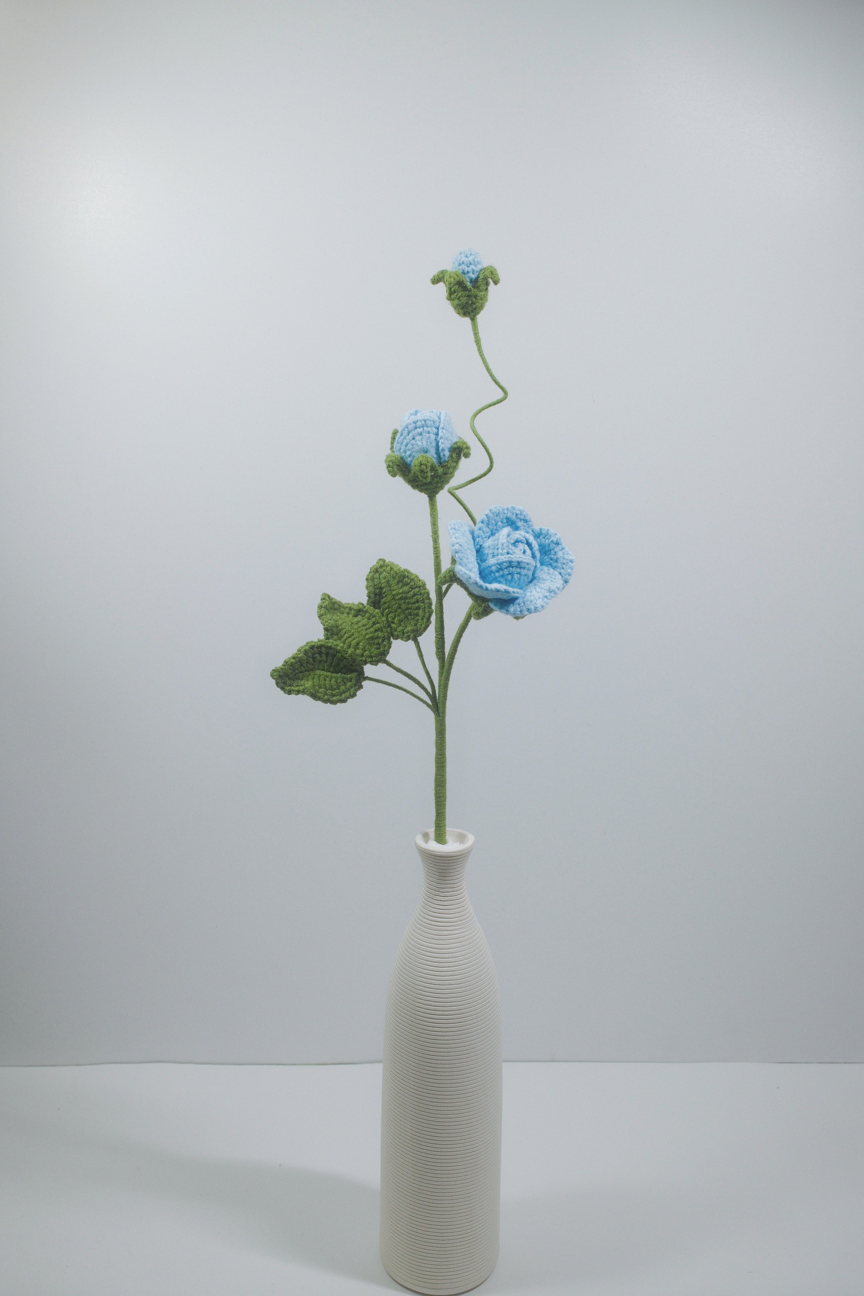 Geranium