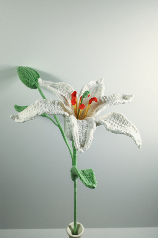 Lily
