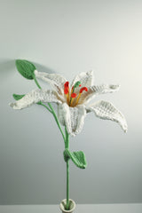 Lily