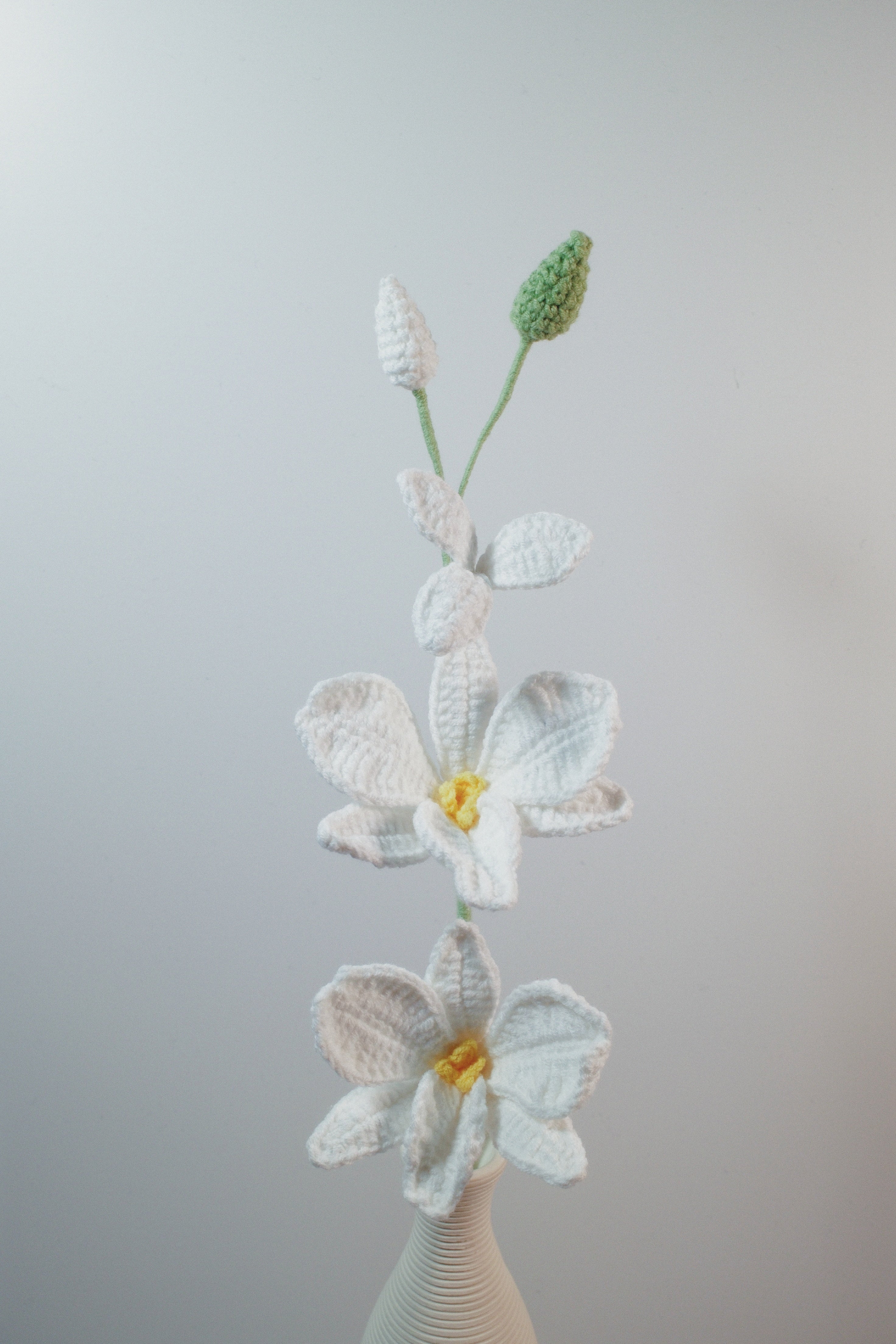 Dendrobium