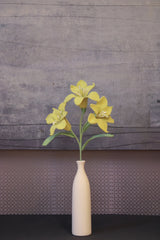 Six-pointed Flower | Grass-Green Flower
