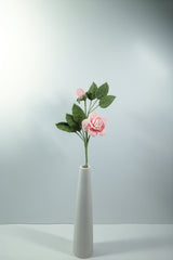 Geranium