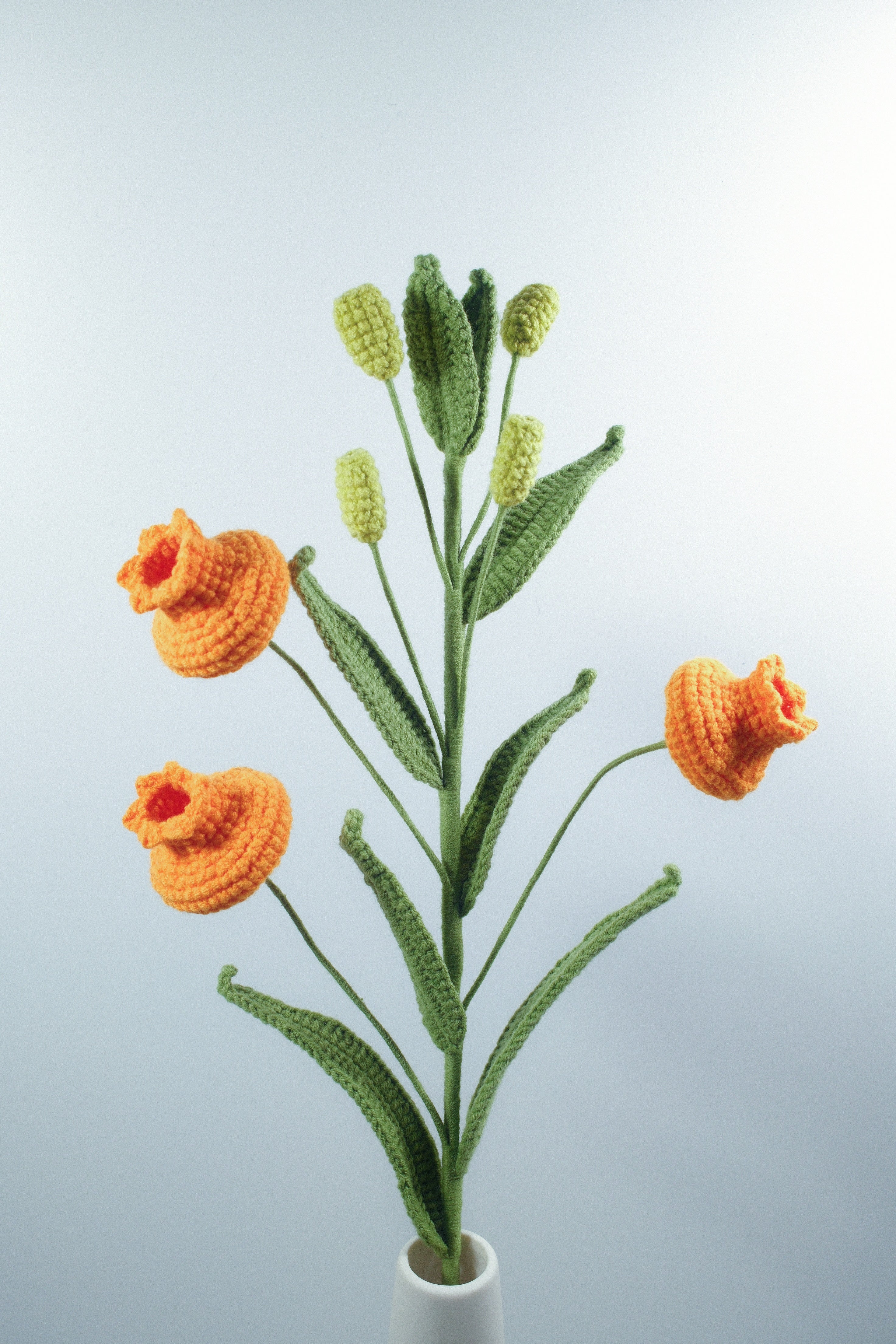 Lilium lancifolium | Palace Lantern Lilies