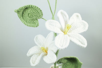 Tung Tree Flower