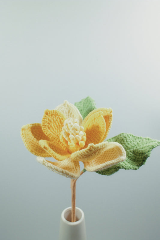 Magnolia