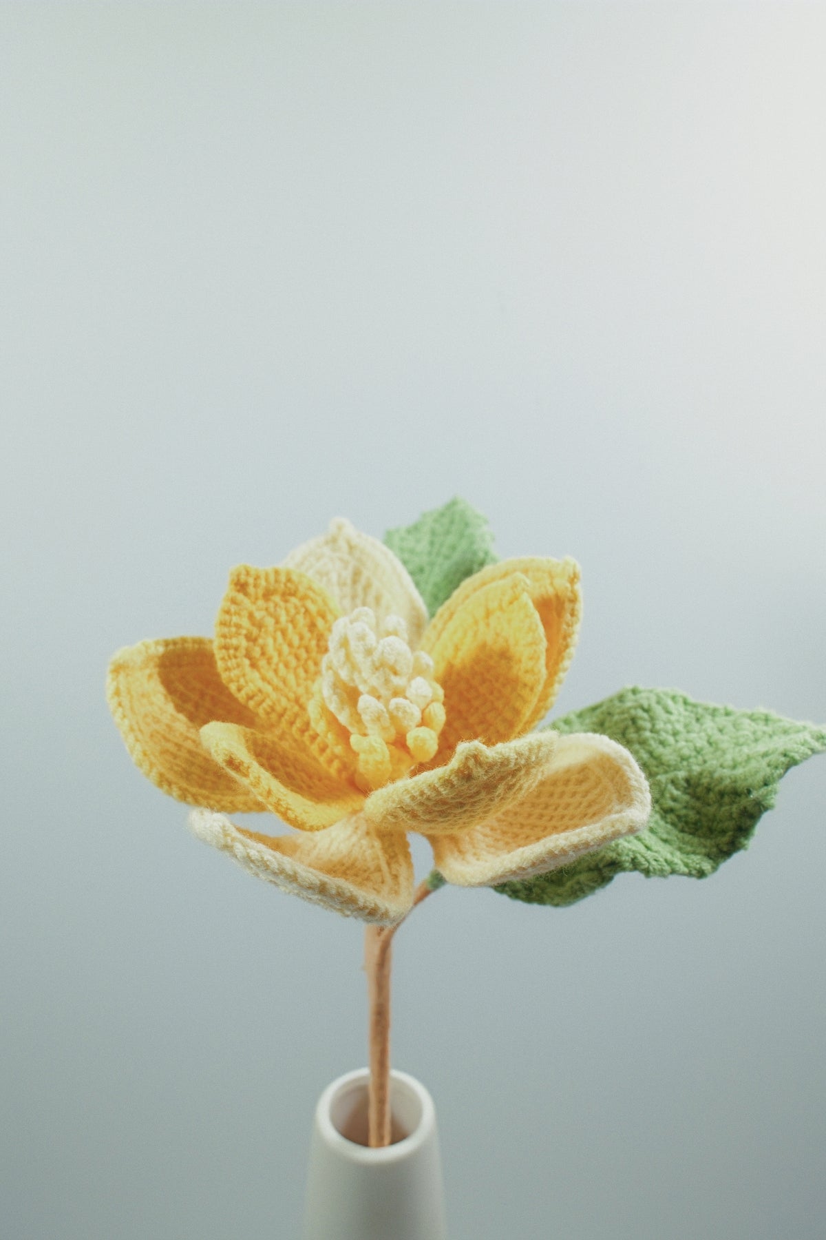 Magnolia