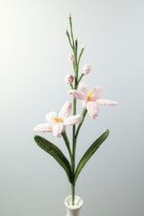 Renanthera