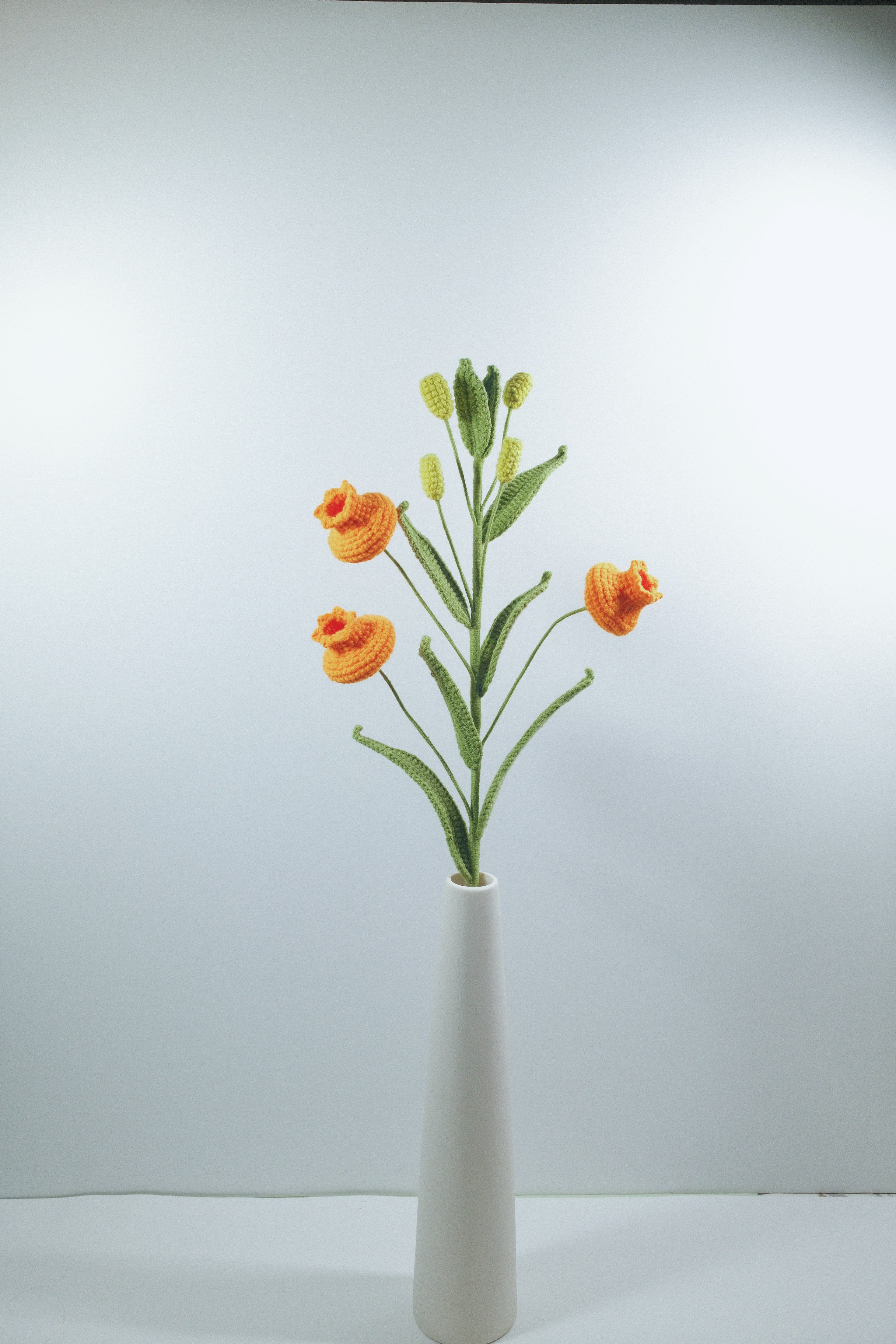 Lilium lancifolium | Palace Lantern Lilies